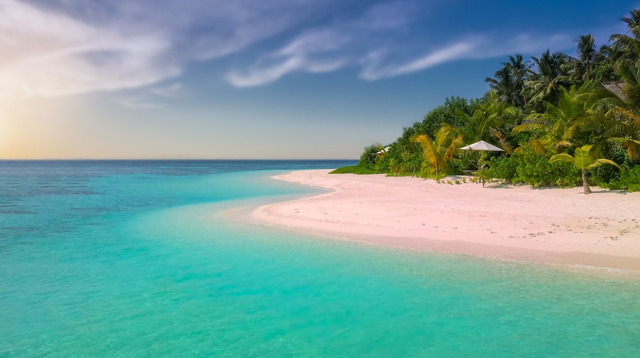A peaceful hammock between palm trees on a tropical beach.
