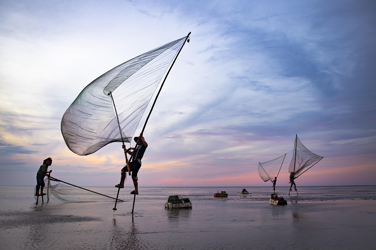 A person looking out at a bright horizon, symbolizing financial freedom and future planning.