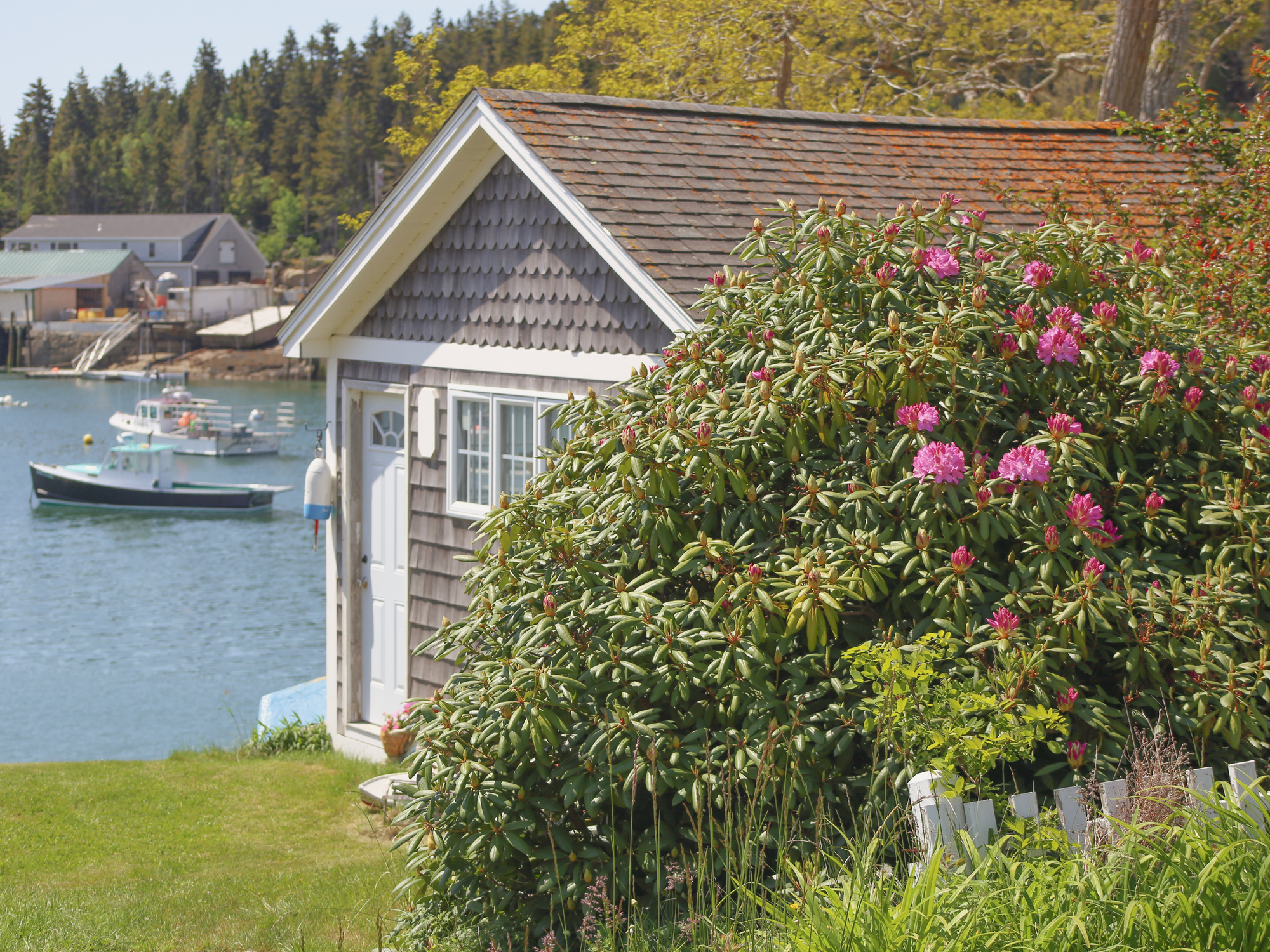 A small shingle boat hut next to a harbor in a quiet Maine fishing village.