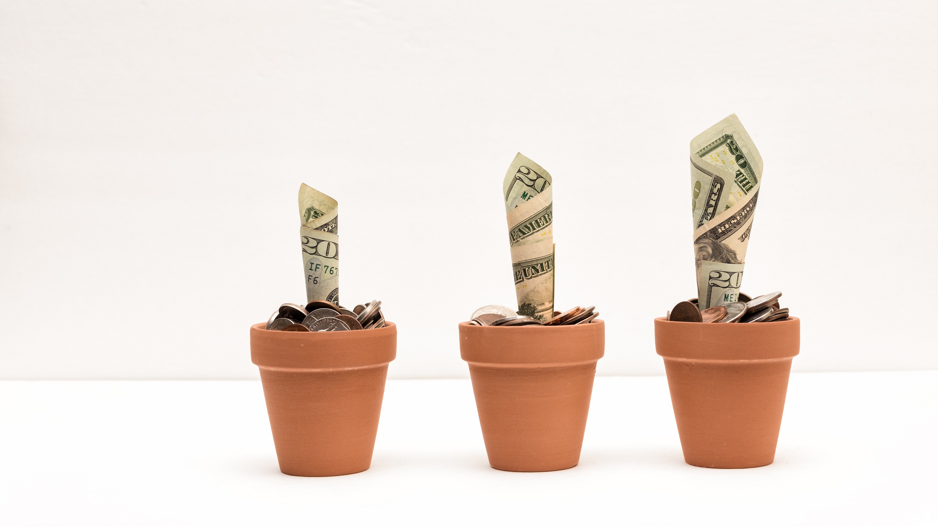 Currency notes growing out of pots filled with coins like small plants.