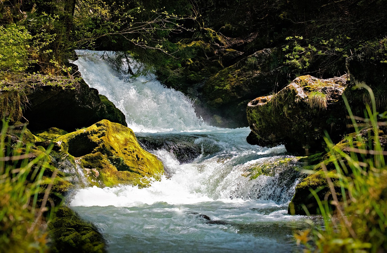 Fast-flowing clear water in a forest, symbolizing high liquidity and fast ACH transfers.