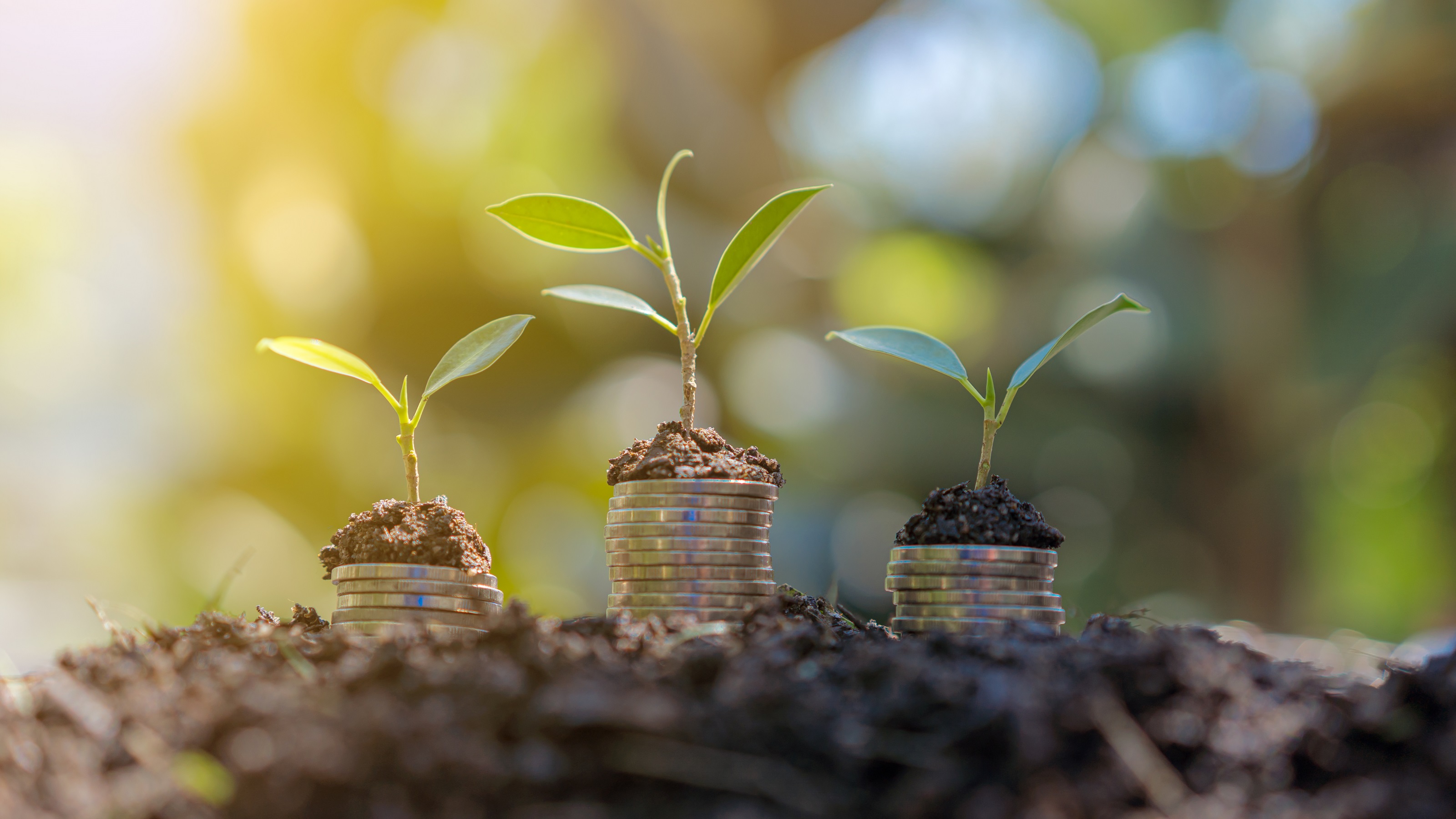 Three small green plants growing out of stacks of metal coins.